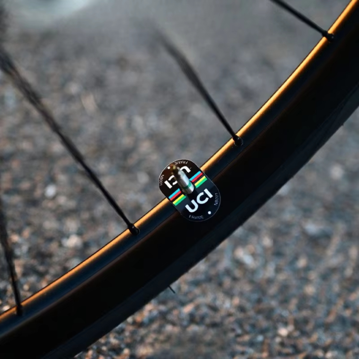 UCI Style Cycling Decor Sticke - Mountain Biking Uci のレビューと価格