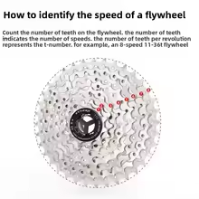 TTPRO 8 Speed Bicycle Flywheel - Cassette 11 Speed のレビューと価格