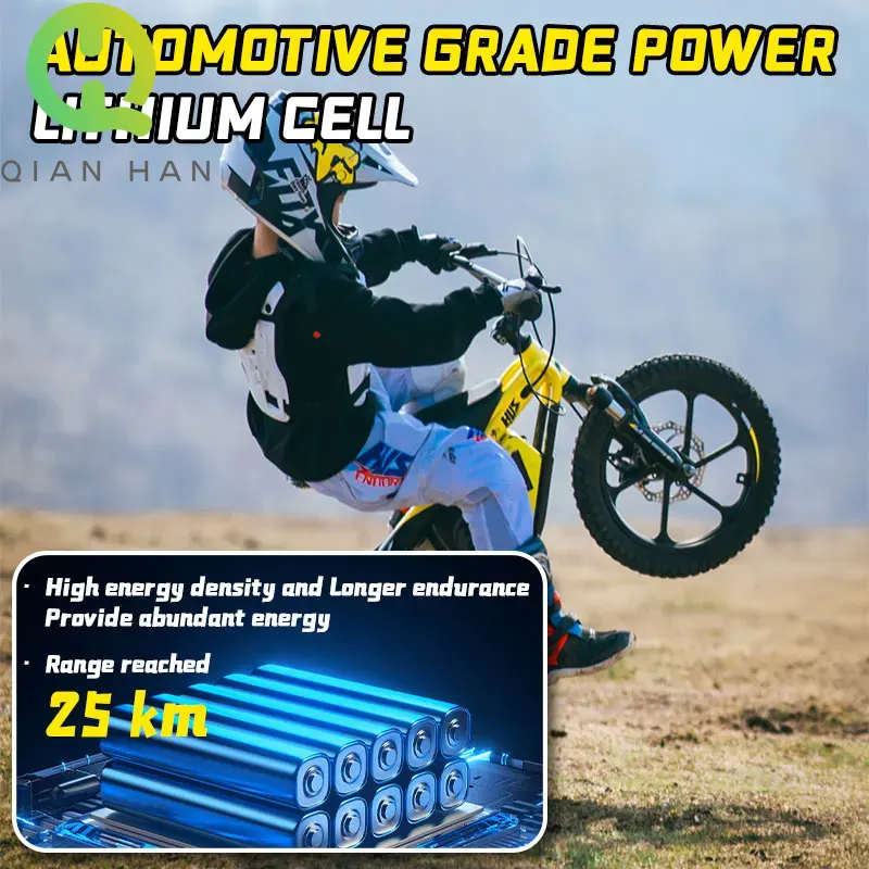 For TALARIA Children Electric  - Mountain Biking Kids のレビューと価格